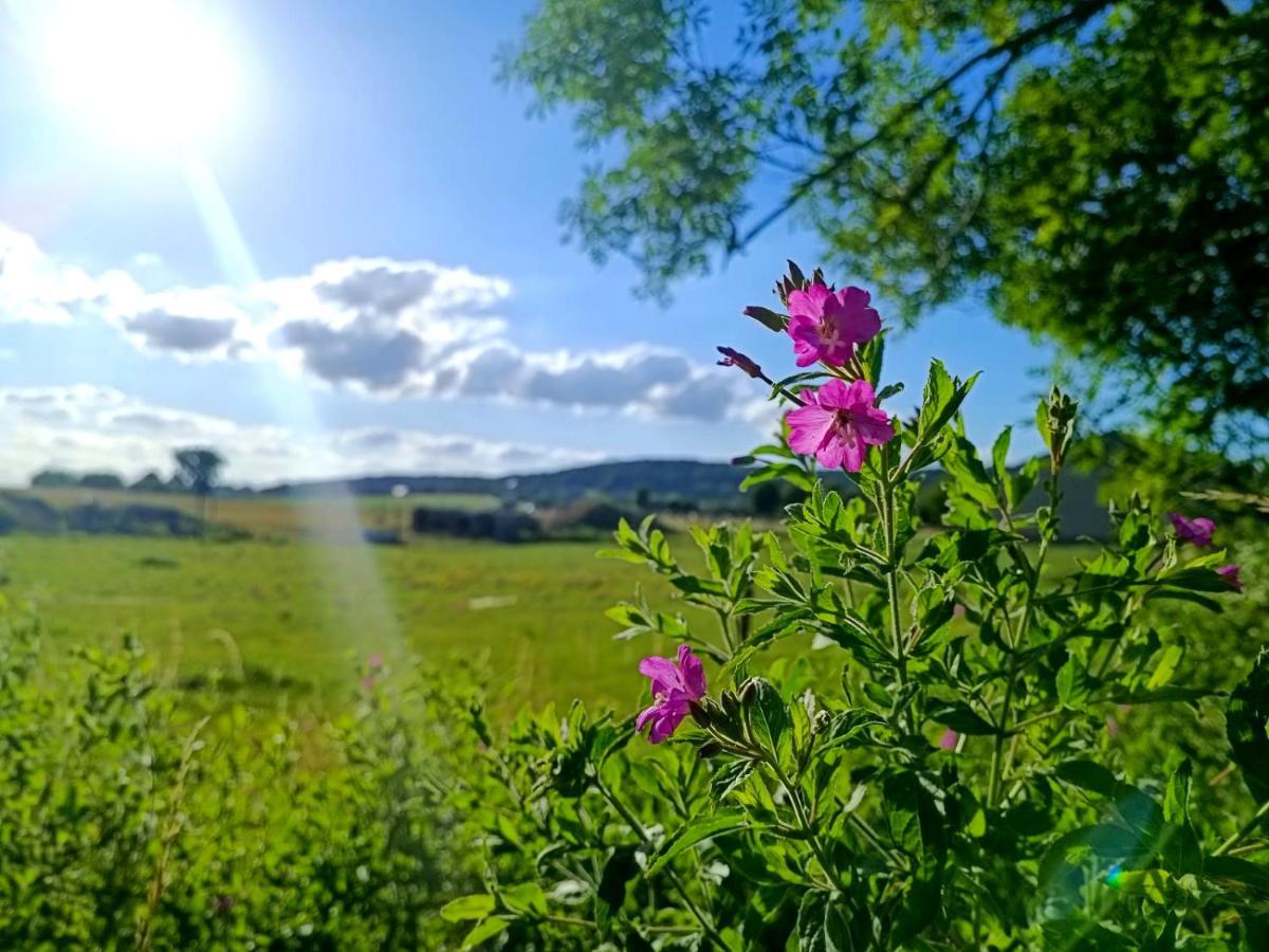 ホテル Au Pied Du Trieu, The Glamping Experience Labroye エクステリア 写真